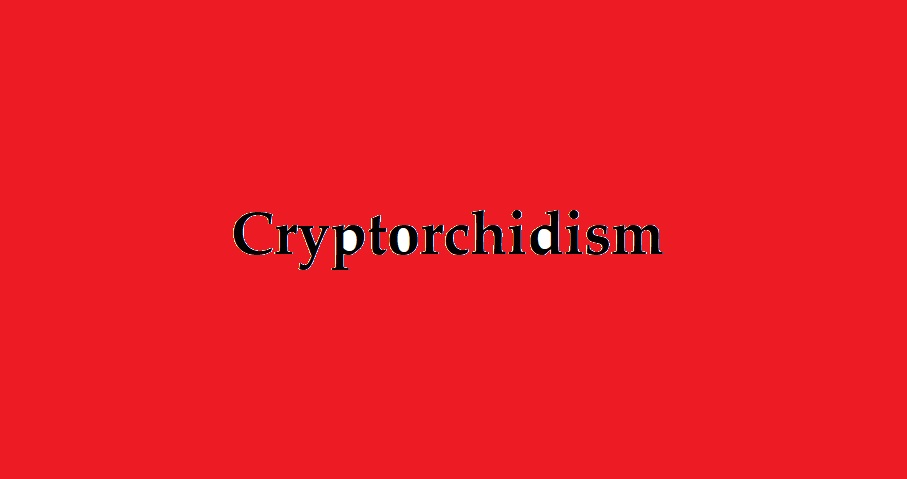 cryptorchidism